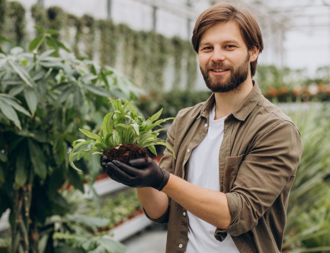 Mann Florist arbeitet im Gewächshaus