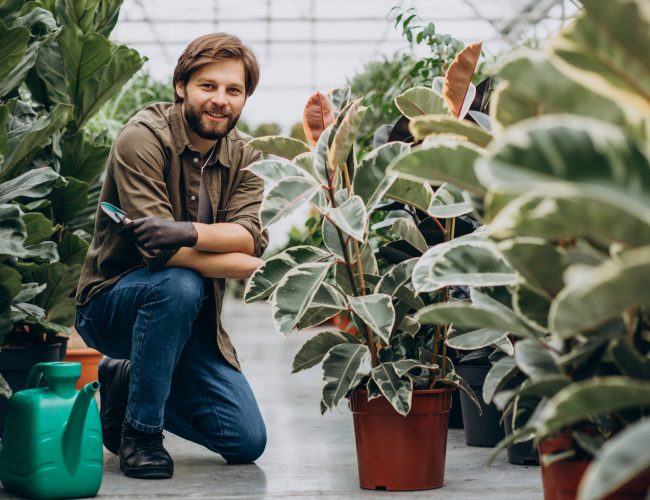 Mann Florist arbeitet im Gewächshaus