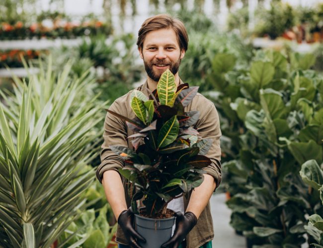 Mann Florist arbeitet im Gewächshaus